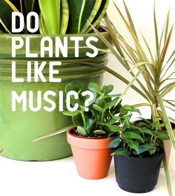 What Music Helps Plants Grow: Exploring the Symphony of Nature